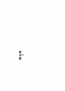 Hogo-V7